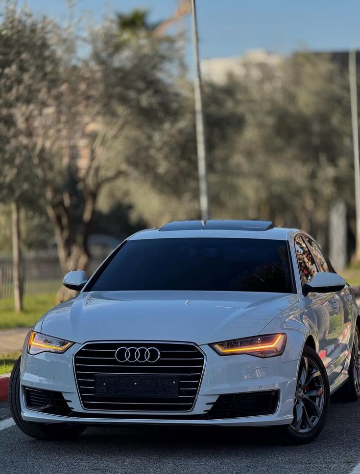 Mercedes E oder Audi A6